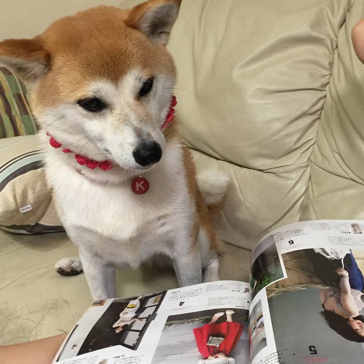 Dcfcc42a fb52 4a3e 839e e784f203499b