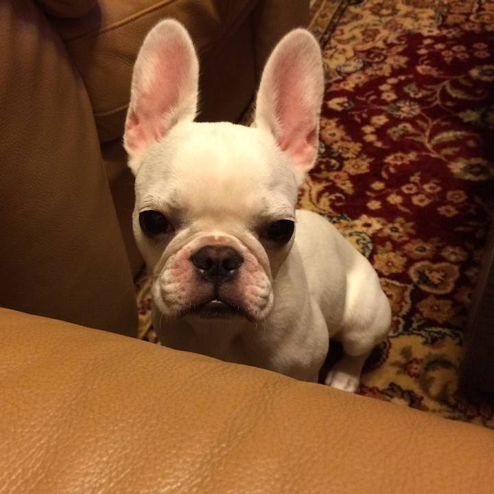 Dcfcdb7d 40c0 45be 9f1a f25aba3fb2a3