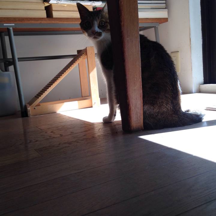 Dcfcee00 40aa 4046 acbd 4408ad7ff401