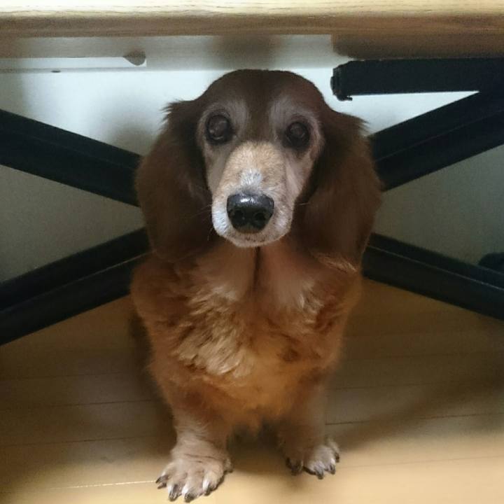 Dcfd24ff 62e9 4f33 9158 2765f8ebf789