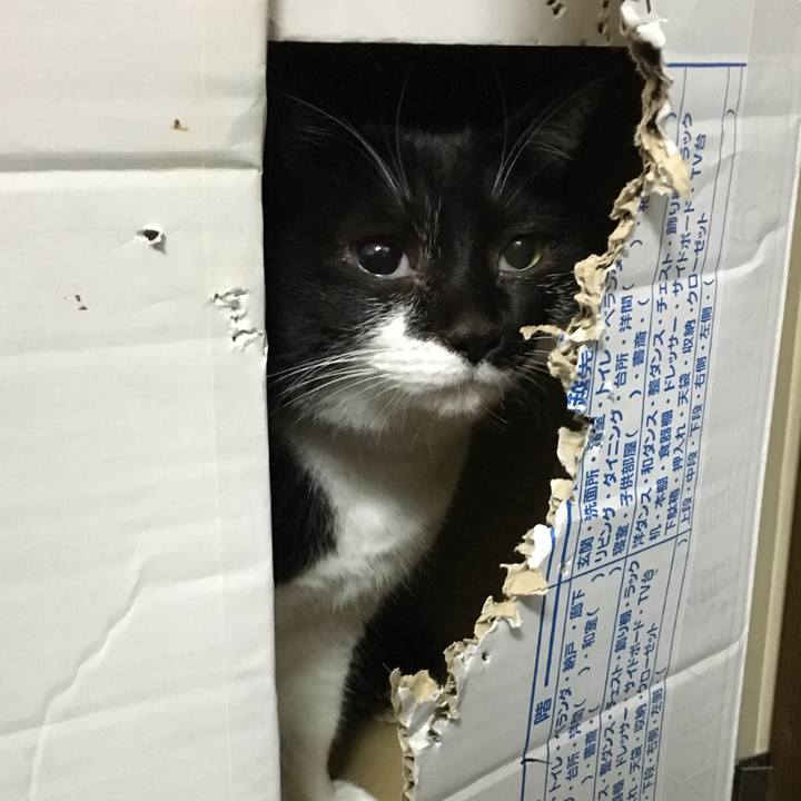 Dcfe4d5b 6d54 4a2e a2d3 50c7f3afe040