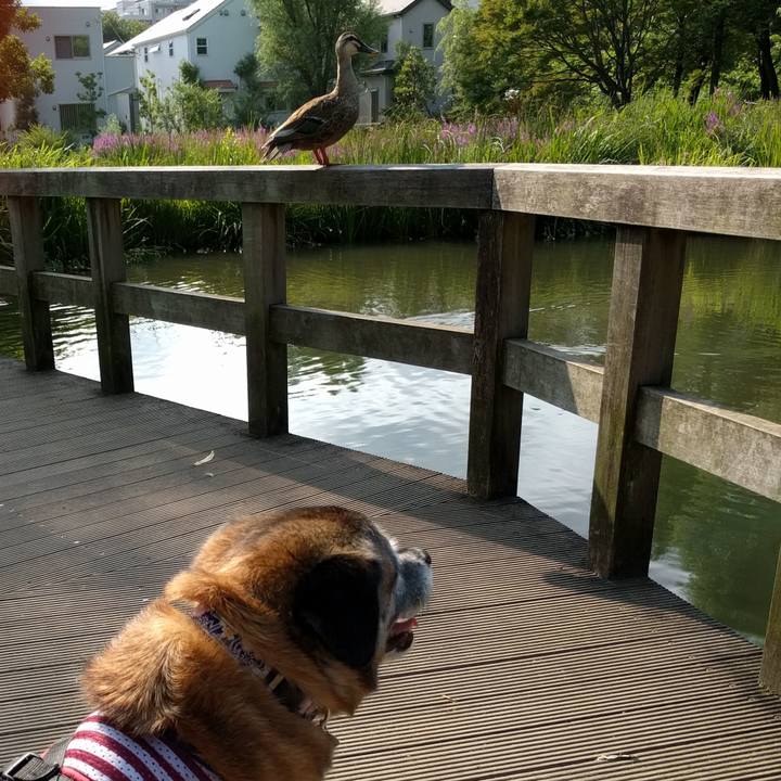 Dcfeb42f 092a 4cb2 8a3d fbf42fddb884