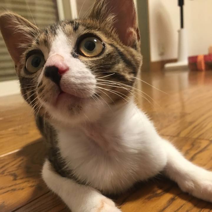 Dcfefa69 b747 4237 91b2 d742be87fcb4