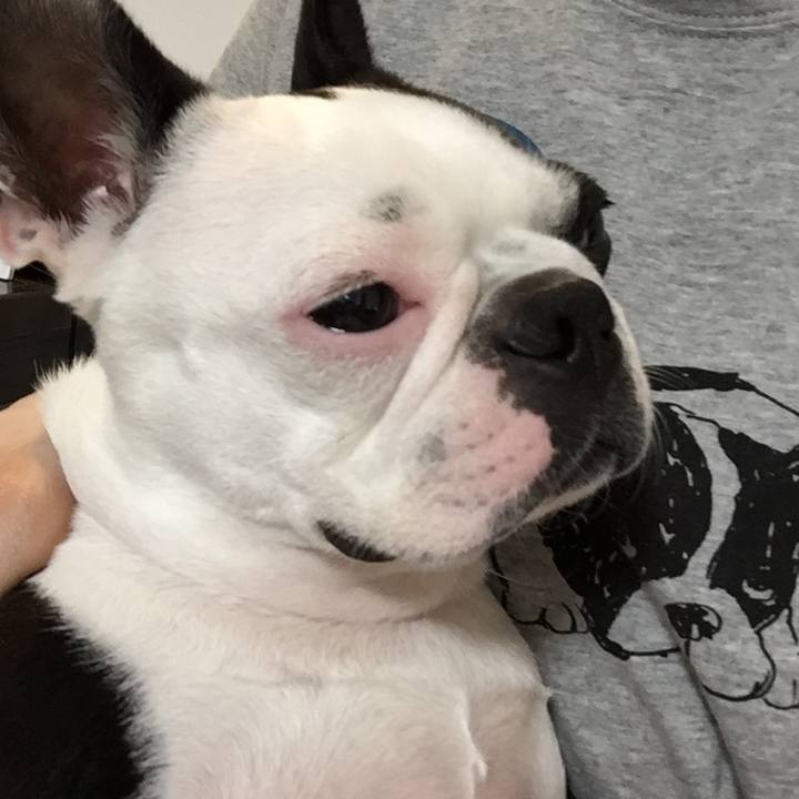 Dd0017ea 7037 4c0e b194 51dd63255ff6