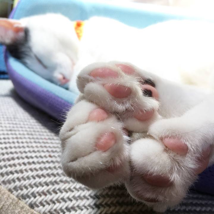 Dd019242 ee4d 41f1 999d 0ad5afbbe234