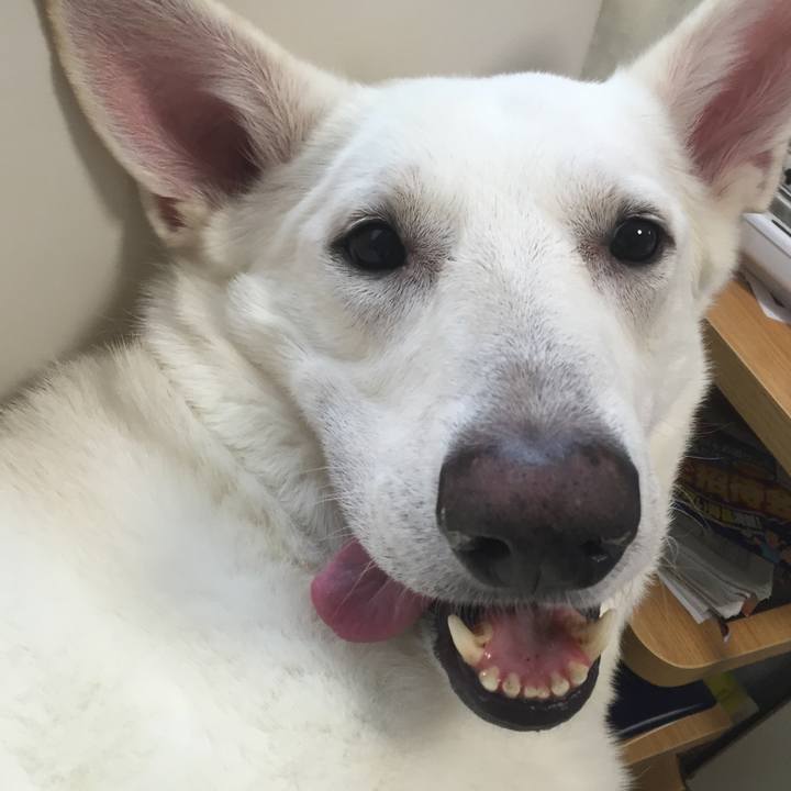 Dd01e904 3c02 4065 b170 6380d77889b0