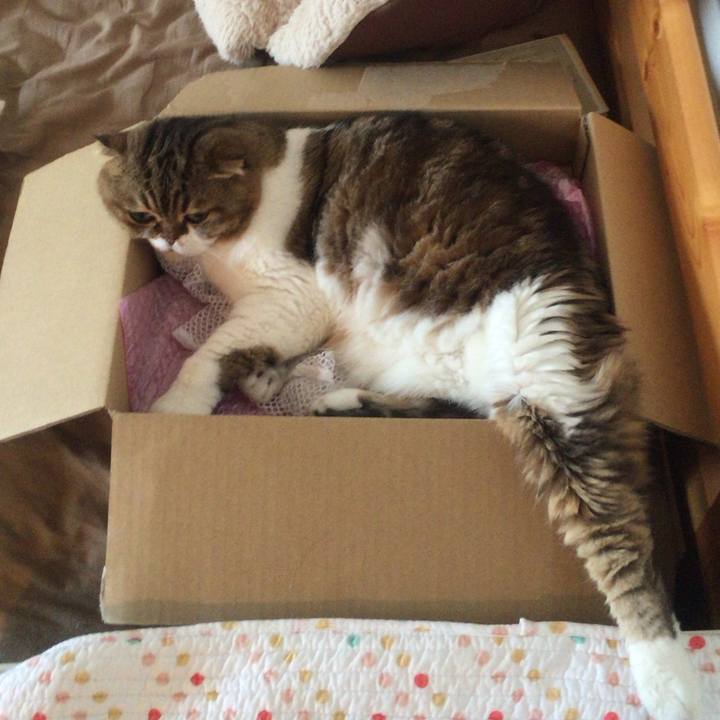 Dd029c05 9113 4b39 a9c1 23a70579e974