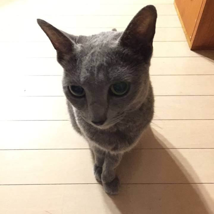 Dd029ddd b320 41fa 9dc1 babebee62208