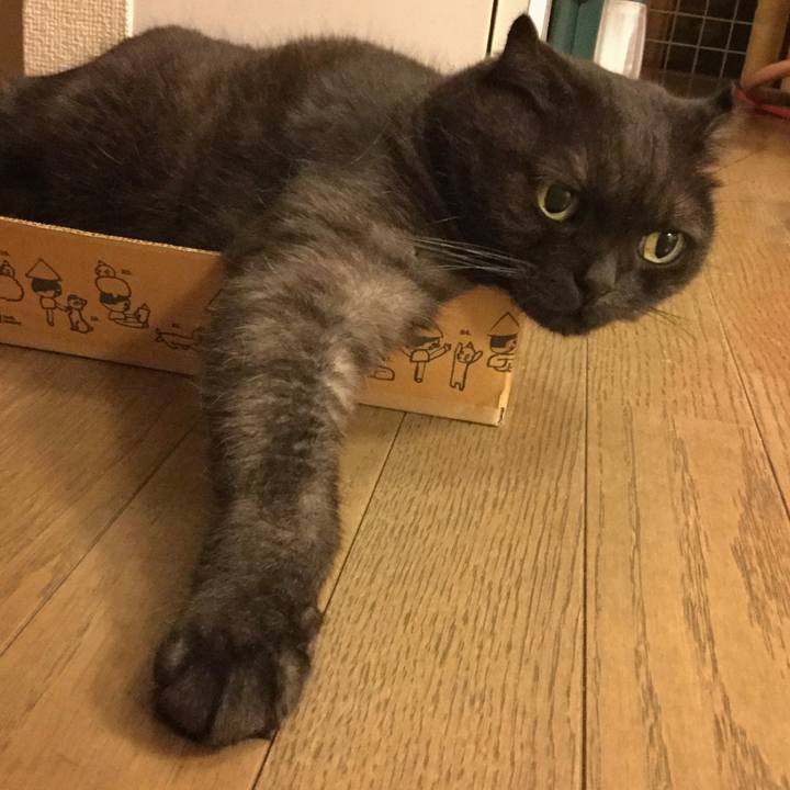 Dd033cb8 0c62 44dc 95e9 88c1bd89bdda