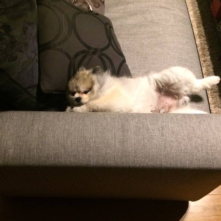 Dd0408cc 6c1a 438b bd7e 7114a35122d4