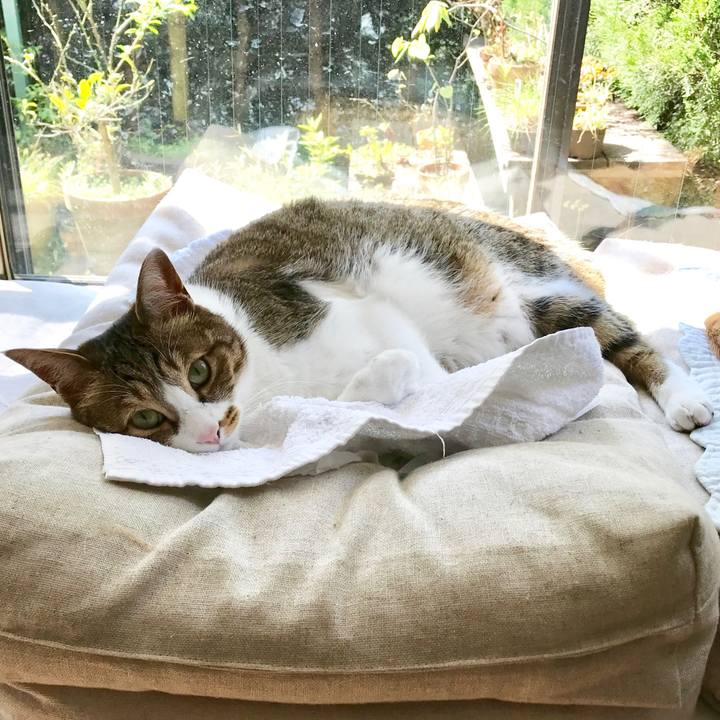 Dd045845 4a35 4c55 84e1 051f9372d914