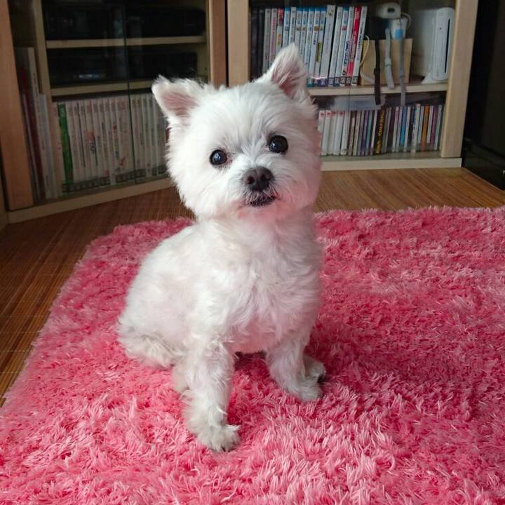 Dd049003 822c 45be b12a 045d3570bec2