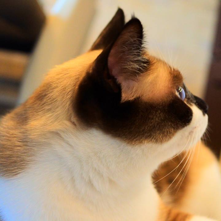 Dd04ab53 0dde 4215 8d5c 34b4c824d462