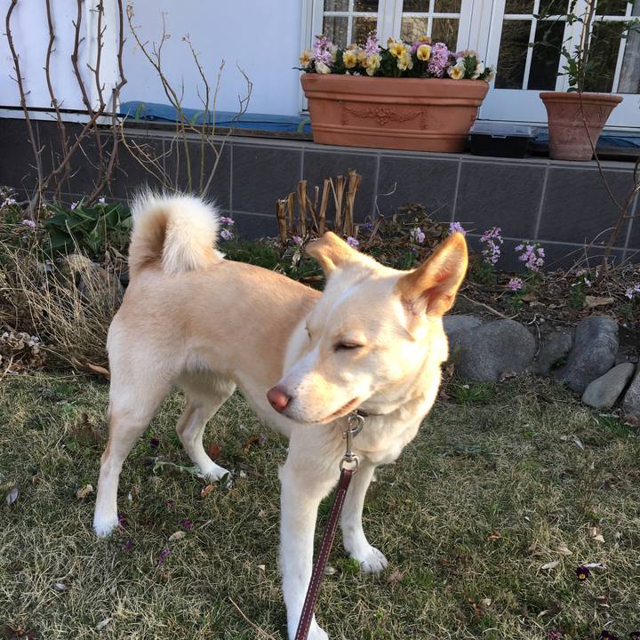 Dd04f487 2105 4baa a80f 84defad89cd1