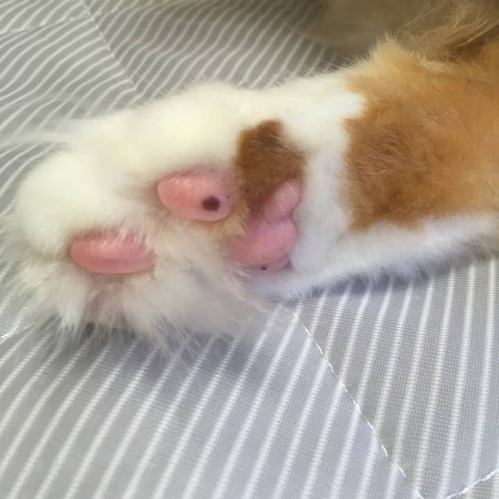 Dd06a5a2 d0c1 4cc1 a33e 470aa5b0fd5a