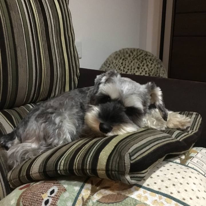 Dd06c9f3 9c5d 4628 8622 24c448050de4