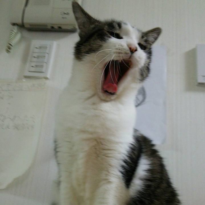 Dd071103 04f2 4a68 9ab6 78e8f4b2c973