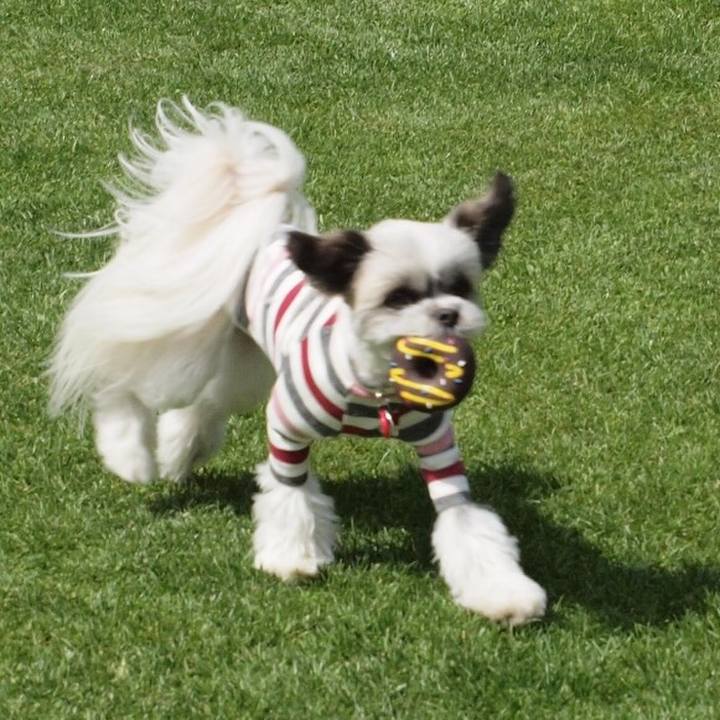 Dd074d2c ac49 408f acc1 6a9f1ee84868