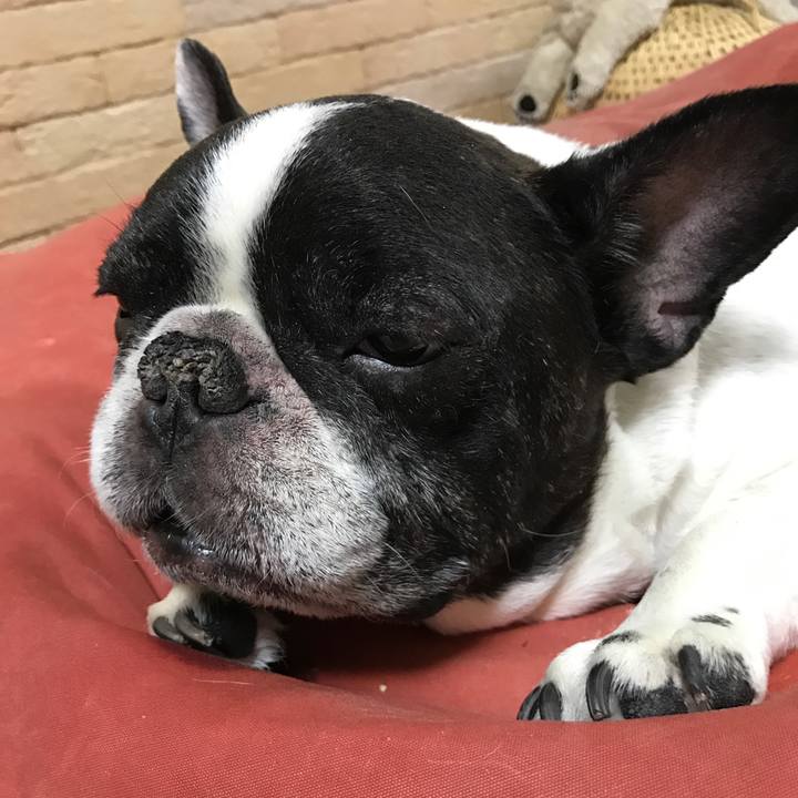 Dd0766f9 d824 42ca 9f9e 68b27b138da1