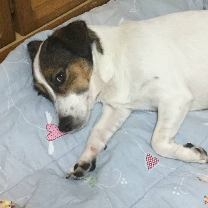 Dd07818e 0acd 4ac1 bd8e d714bc30ca0c