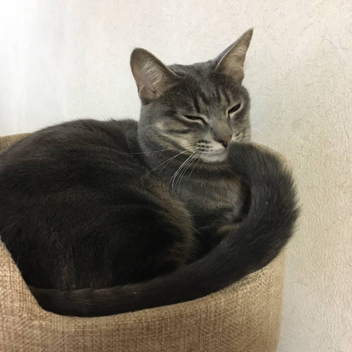 Dd078d9e 5d46 4736 97e8 43b1665cd645