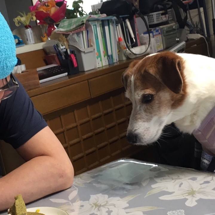 Dd07d0b6 e4ac 456e b9bd dd34b95b2aac