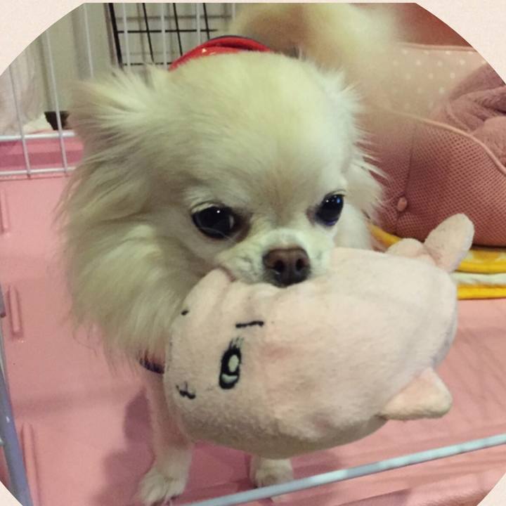 Dd07f65f e01d 4251 be5c a8424fa030ce