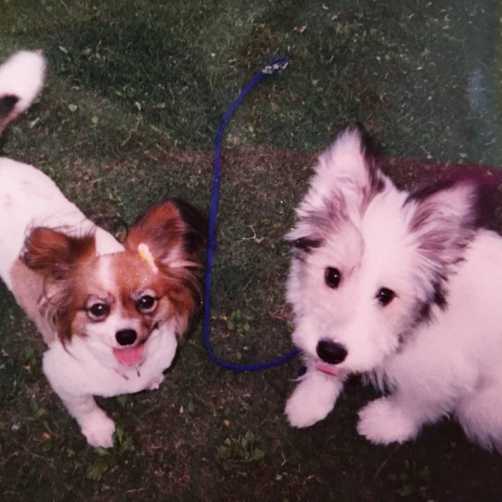 Dd08ec59 cb29 4680 b906 05bcb6e92b29