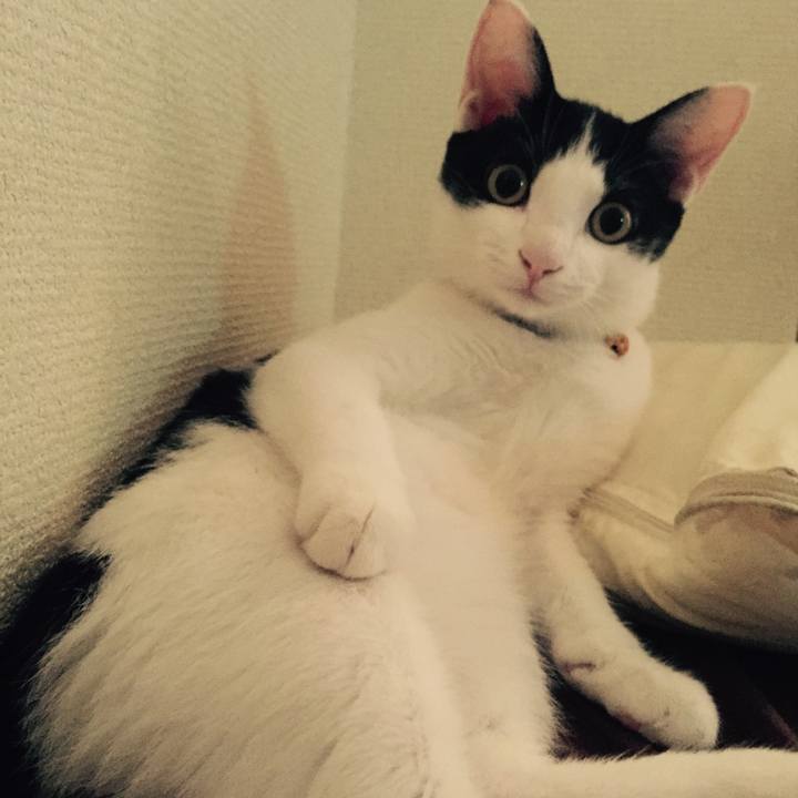 Dd090ec0 5389 4cb4 986b 3348fc3075e9