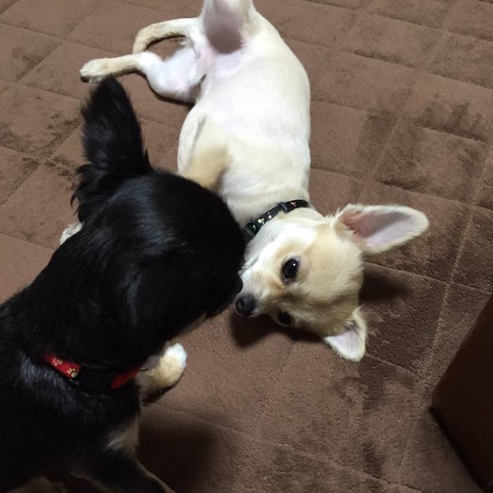 Dd094dda 0632 499e 9073 bf8ed4fcd093