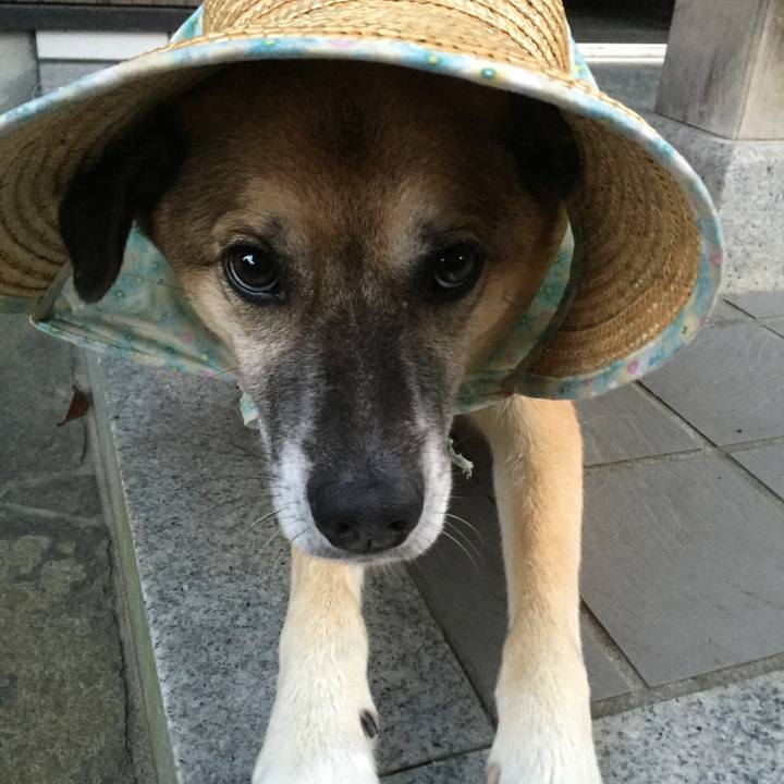 Dd09b0c5 20ca 4920 b8db 8a934d7a3855