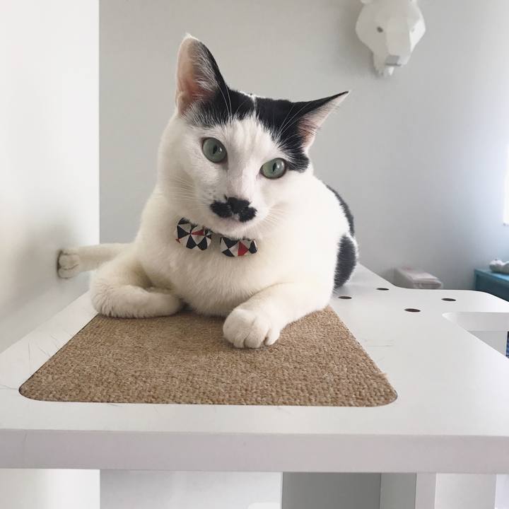 Dd0a1a1e 25f3 447f b369 c99355e328c1