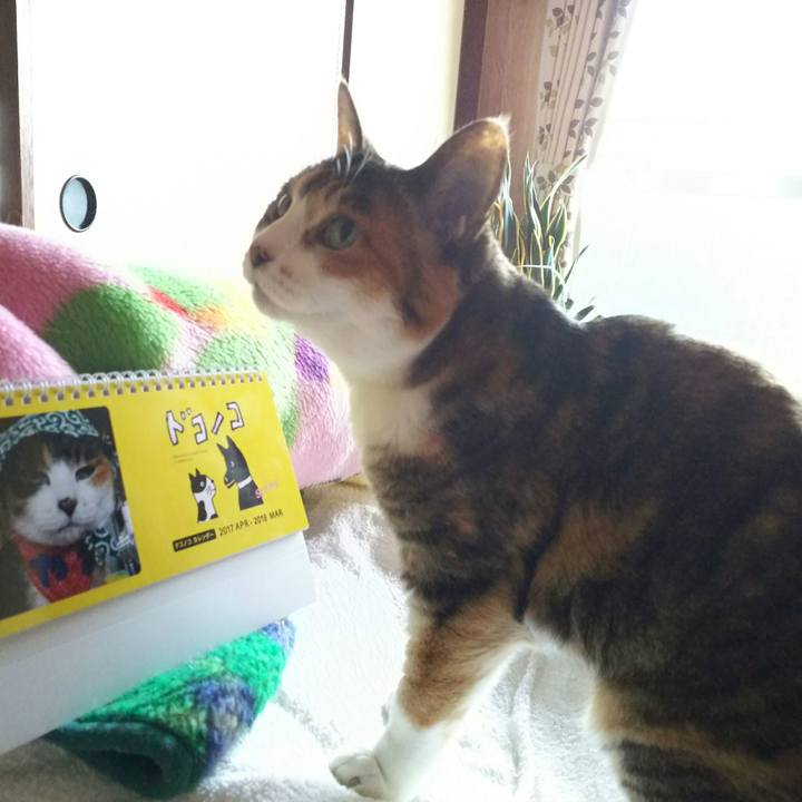 Dd0b4522 e006 46f4 9485 f071e458df1f