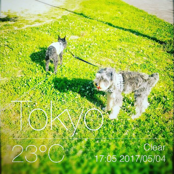 Dd0c2cb3 fab2 4ea4 9a6f d18c7ca30fda