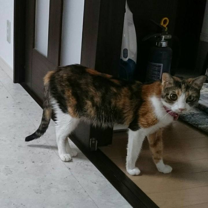 Dd0c7cba 7952 4360 975f db2ffb479d26