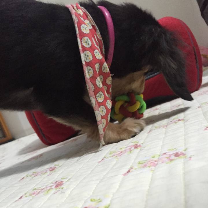 Dd0cdc90 5a3a 4189 9375 adfd392d3f86