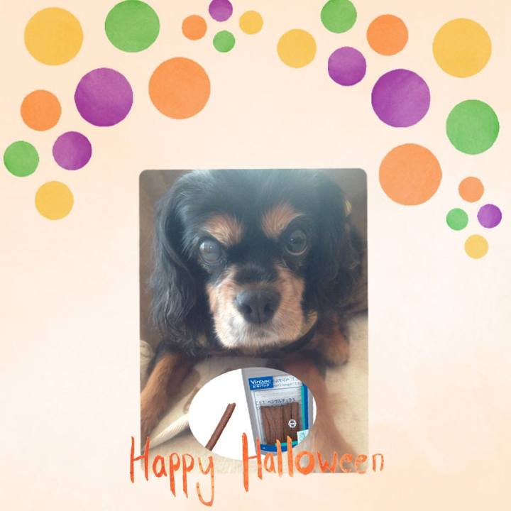 Dd0ce0cf 342d 4109 b9b1 995b4b3c20f6