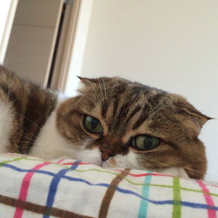 Dd0d06e1 e26e 482e 9997 e68689b7729d