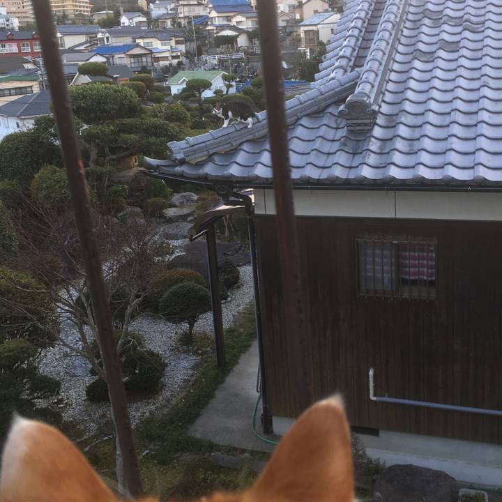 Dd0e68ae eec3 48e6 9d84 e6857b73a59a