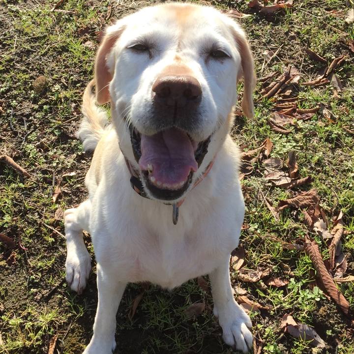 Dd0e8cbe e618 409c a1a2 3c64c9ab0f0e