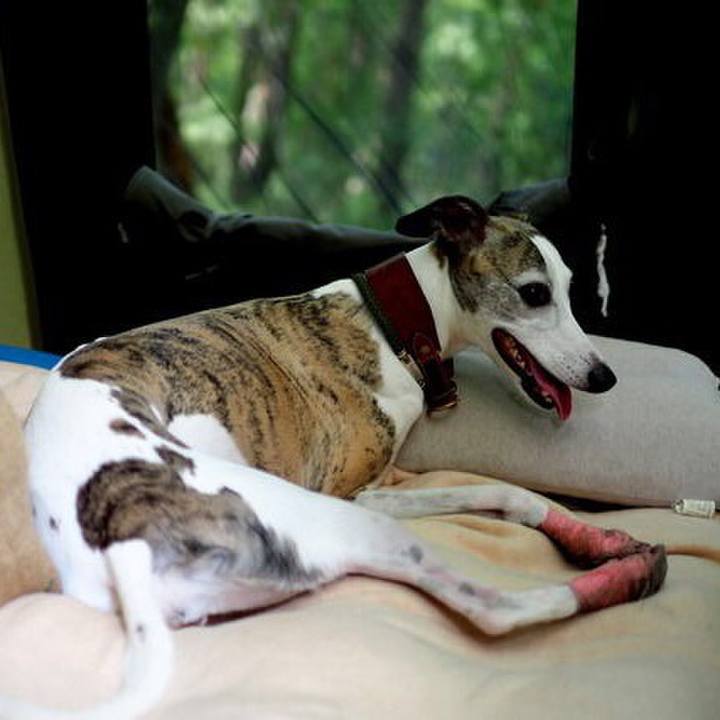 Dd0ed3cf 40ee 40bd 8062 87d23a1aae36