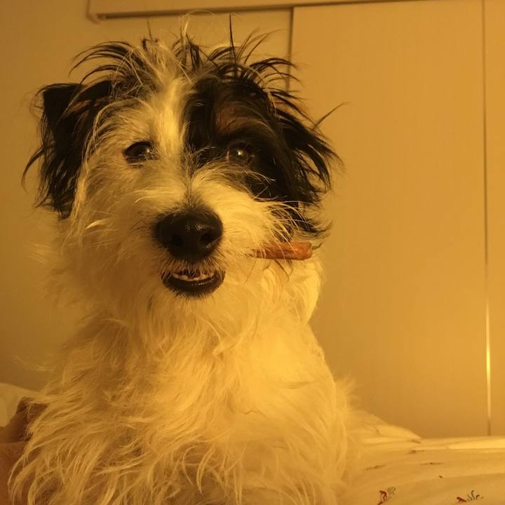 Dd0f2cee b4b3 49f0 a207 34d5e81193c0