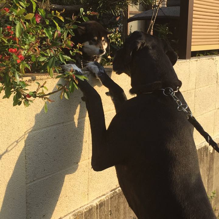 Dd0f5f07 4eee 4cb3 9f60 9aafb2fe3cd4