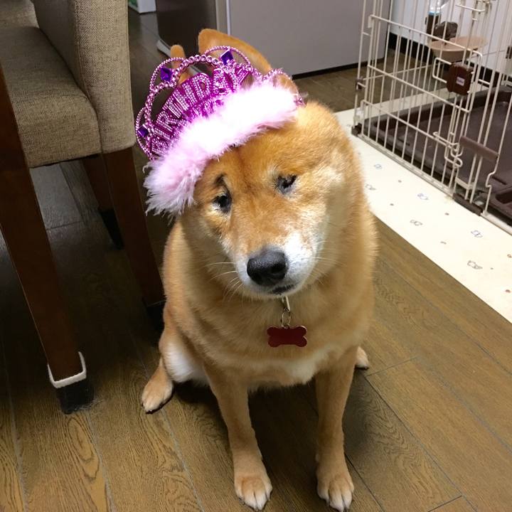 Dd0f6ebb 479c 47bf b0da 19da86b6ad26