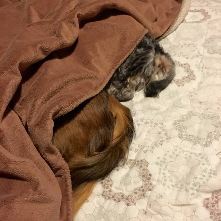 Dd0fa977 a16f 4eed a758 a7fbddf52b5e