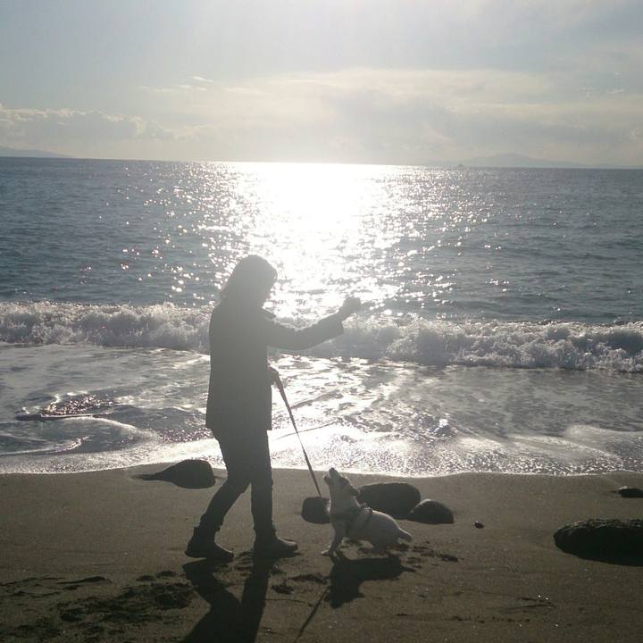 Dd0ffae8 f474 4a43 ab73 42cf460fbc2b