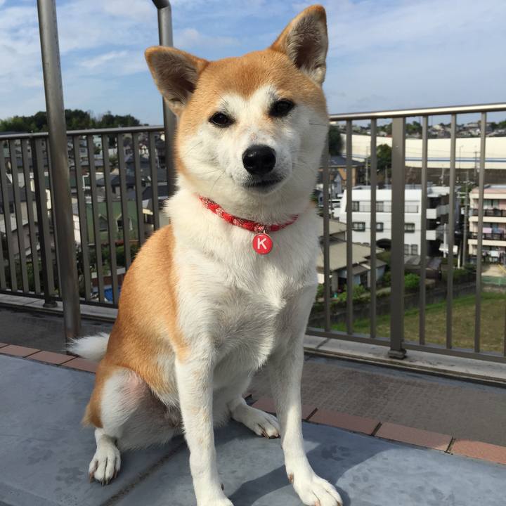 Dd100500 99e5 417c 99d7 9f67a373c189