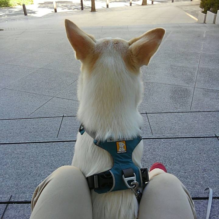 Dd105004 8163 43d6 a976 3111f4ad022d