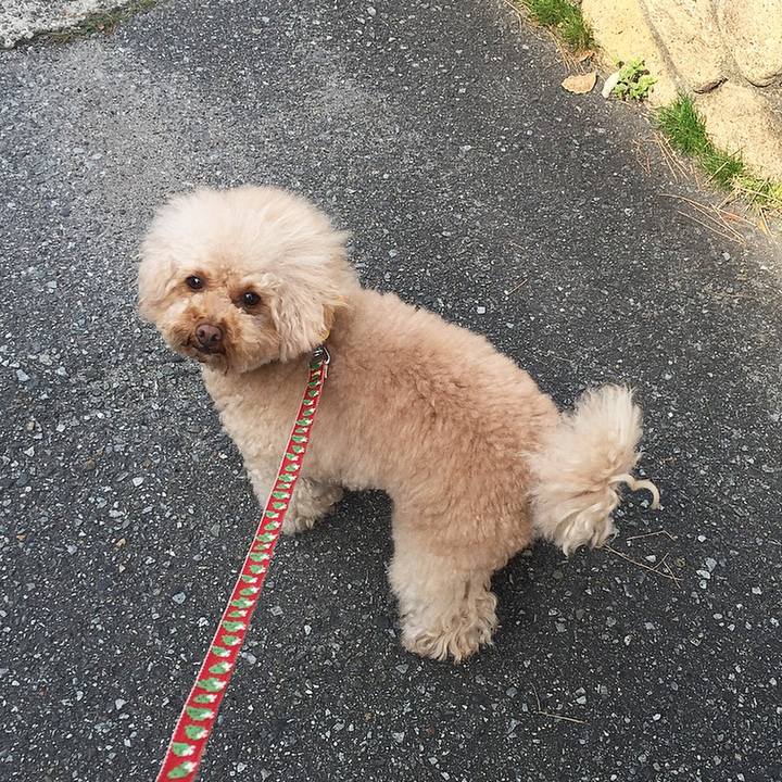 Dd1095bd 5041 4f15 98a6 6c86c84ee98b