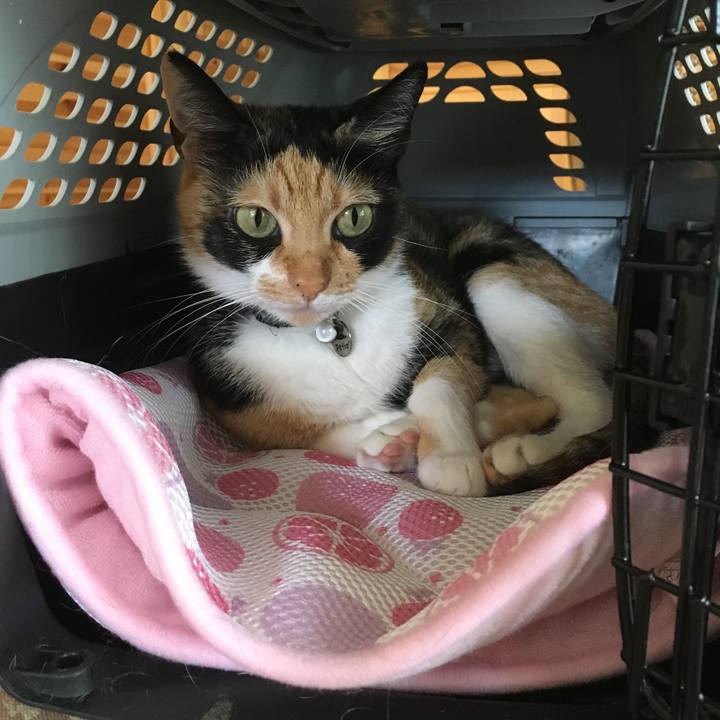 Dd10d45c 1615 48b3 bcf1 af81cdfdc98d